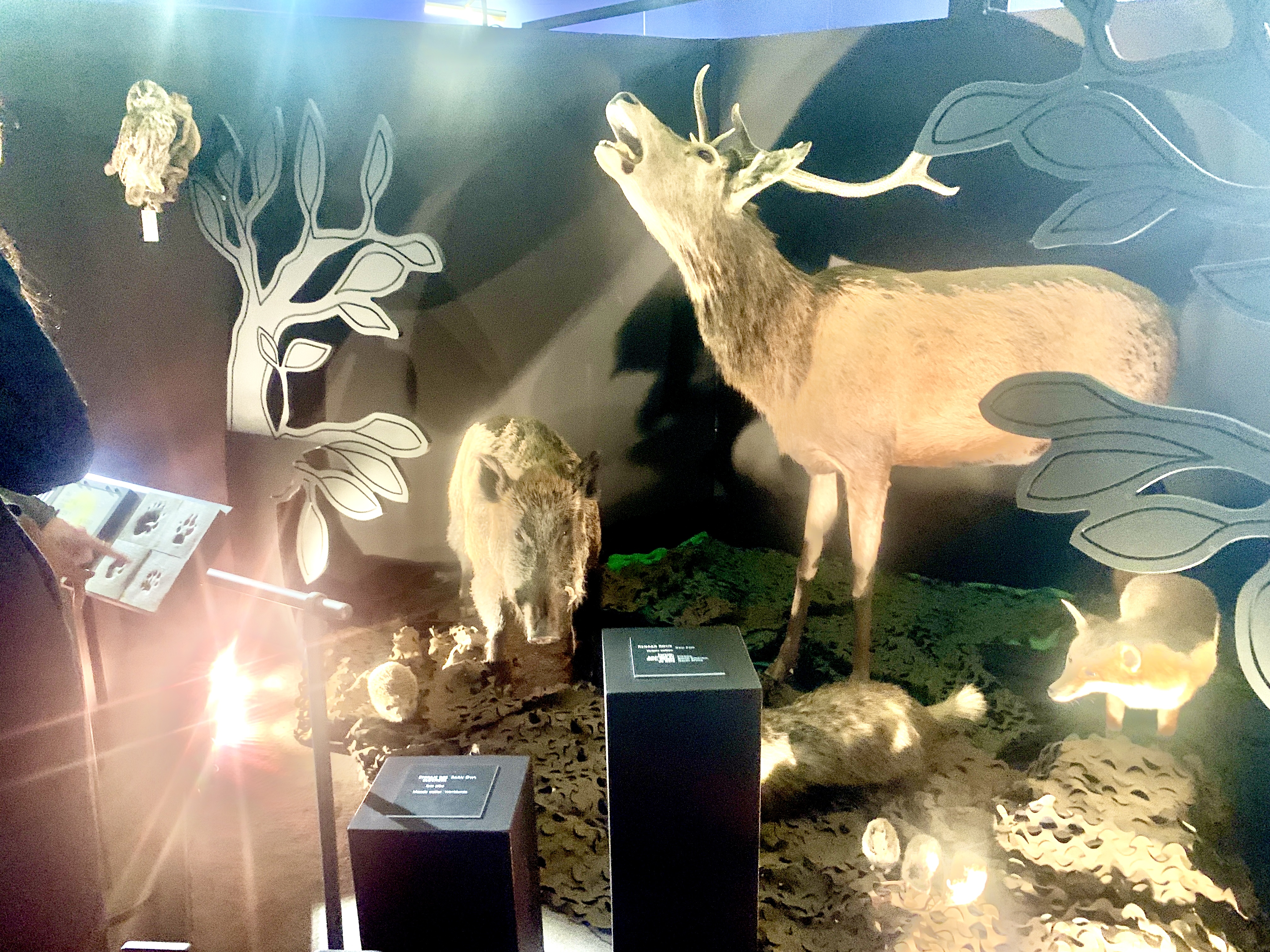 Photo n° 10 de l'avis de Franck.o fait le 10/03/2024 à 14:47