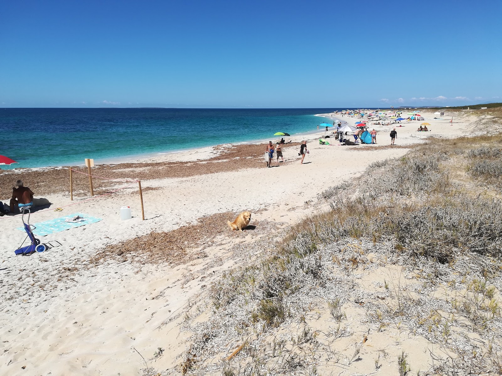 Zdjęcie Plaża Maimoni z powierzchnią turkusowa czysta woda