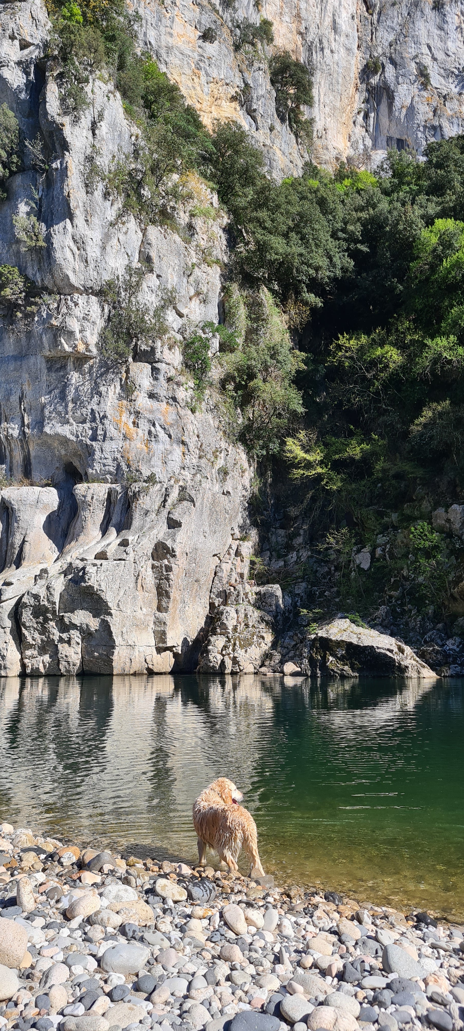 Photo n° 8 de l'avis de Laurenzo.7 fait le 17/04/2022 à 14:33