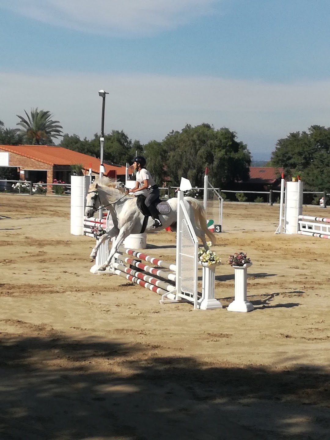 Sunlands Stables