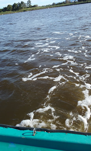 Public Golf Course «Shoreline Golf Links», reviews and photos, 2940 N Shoreline Blvd, Mountain View, CA 94043, USA