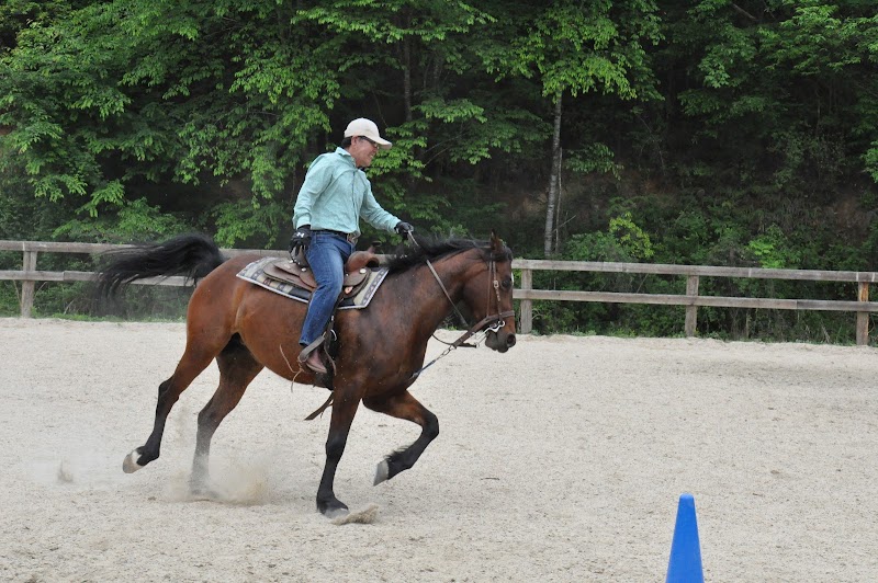 TANIMOTO HORSE RANCH