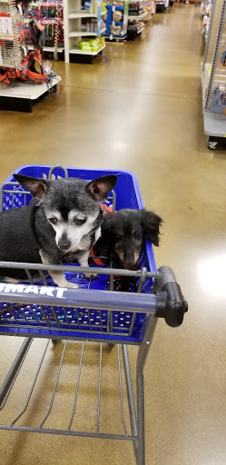Pet Supply Store «PetSmart», reviews and photos, 3260 Stockton Hill Rd, Kingman, AZ 86409, USA