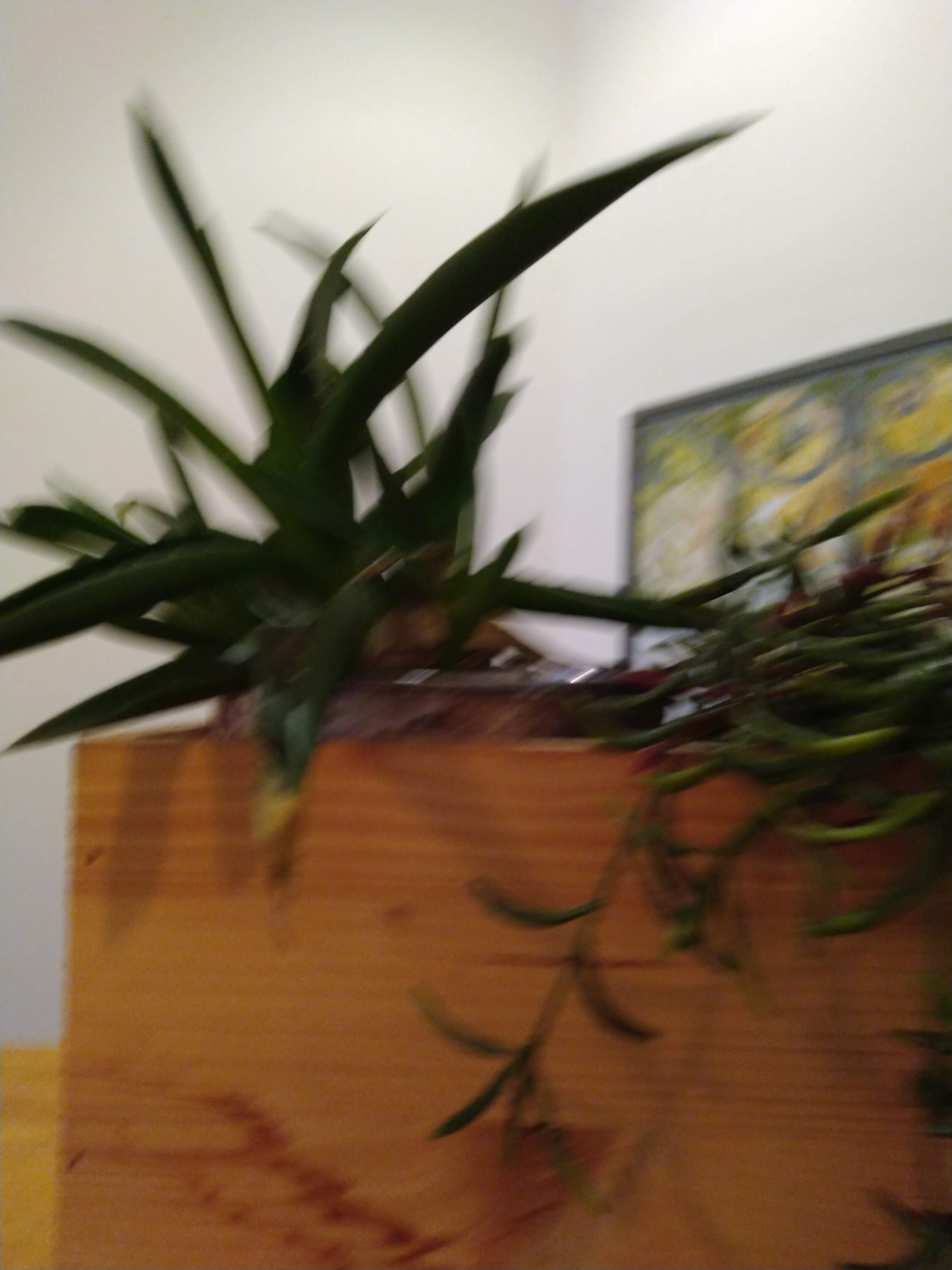 Photo n° 8 de l'avis de Cyril.o fait le 19/05/2019 à 18:23
