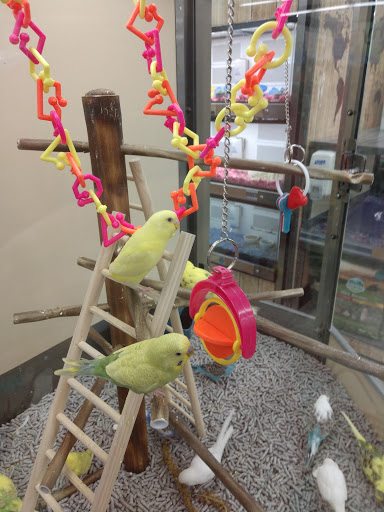 Pet Supply Store «Petco Animal Supplies», reviews and photos, 1800 E Franklin St #19, Chapel Hill, NC 27514, USA