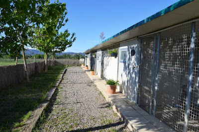 Pension Canine du Domaine de la Vallée de l'Arc à Trets