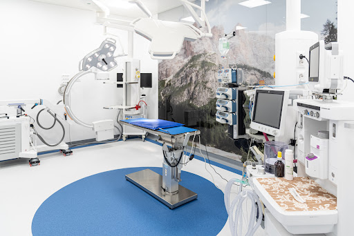 Pensioni per cani e dog hotel a Valdinievole Clinica Veterinaria S.R.L.