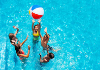 Pool Life, LLC - Photo 6 - Car repair in Greenville, SC, Greenville