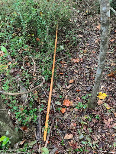 Museum «Asheville Pinball Museum», reviews and photos, 1 Battle Square #1b, Asheville, NC 28801, USA