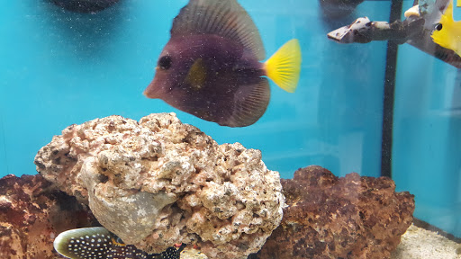 Pet Supply Store «Petco Animal Supplies», reviews and photos, 1333 Centennial Ave, Piscataway Township, NJ 08854, USA