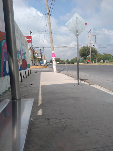 Almazara Reynosa