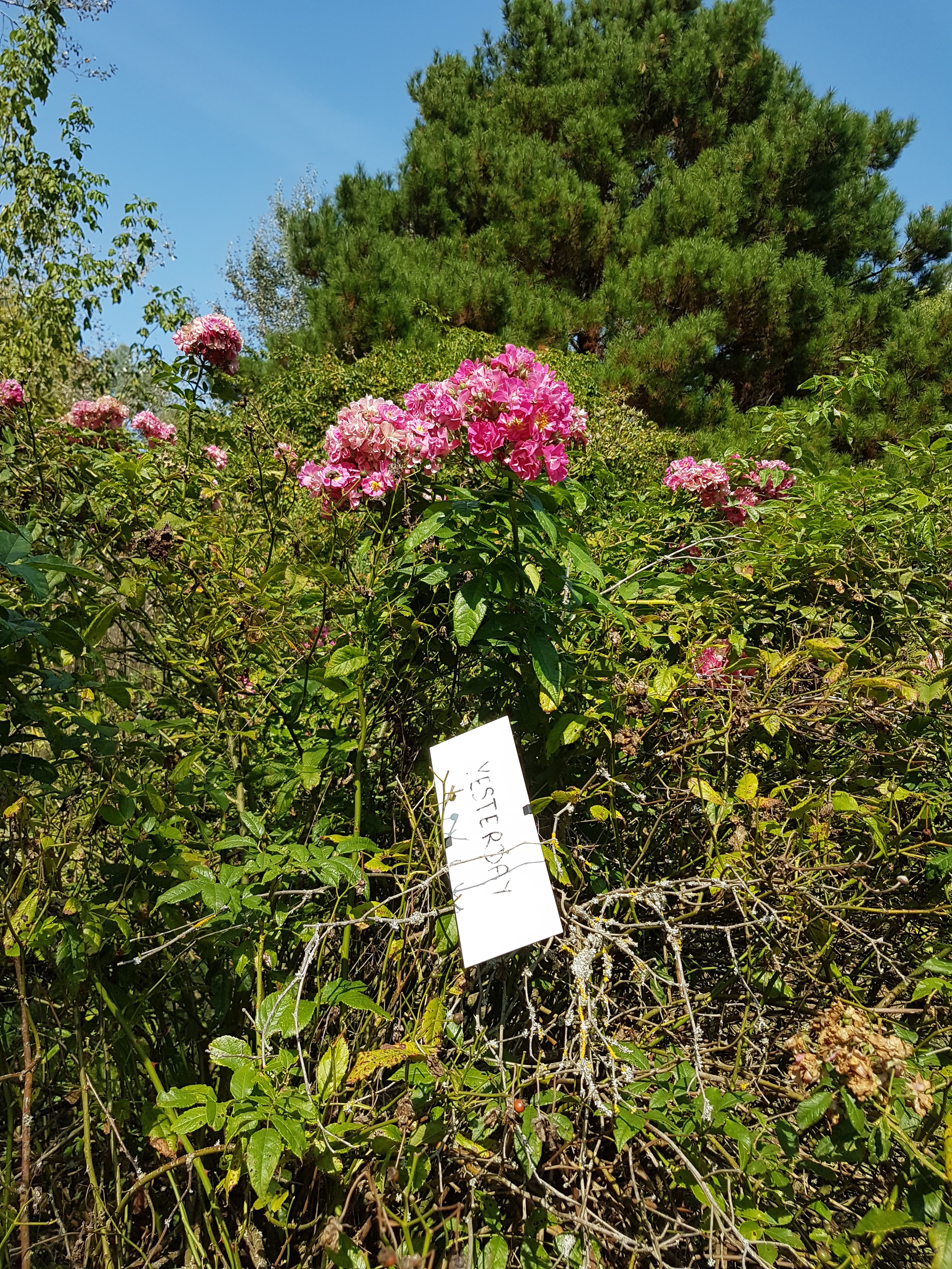 Photo n° 2 de l'avis de Audrey.a fait le 11/09/2020 à 16:50