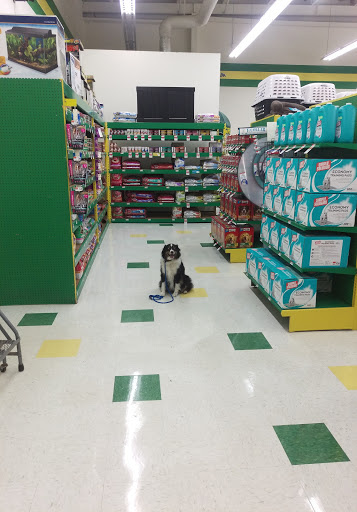 Pet Supply Store «Pet Supplies Plus», reviews and photos, 211 Golden Isles Plaza, Brunswick, GA 31520, USA