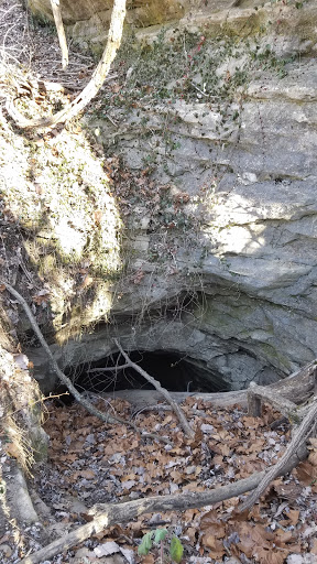 Nature Preserve «Engelmann Woods Natural Area», reviews and photos, 2360 Hwy D, Boles Township, MO 63304, USA