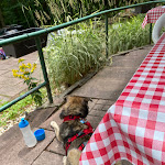 Photo n°2 de l'avis de Melanie.r fait le 01/07/2023 à 12:52 sur le  Bergwaldhütte Sand à Bühl