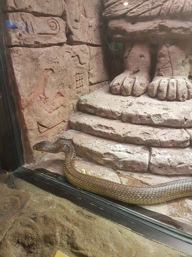 Zoo «Central Florida Zoo & Botanical Gardens», reviews and photos, 3755 NW Hwy 17-92, Sanford, FL 32771, USA