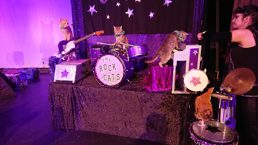 Performing Arts Theater «Carco Theatre», reviews and photos, 1717 Maple Valley Hwy, Renton, WA 98057, USA