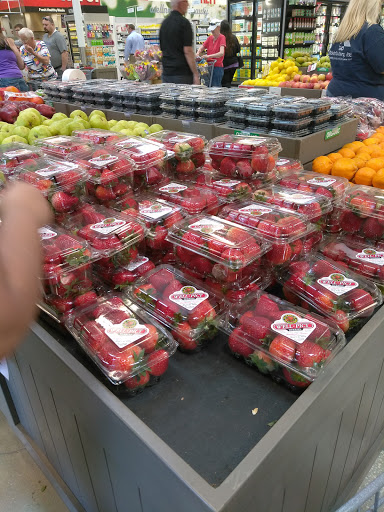 Grocery Store «Earth Fare», reviews and photos, 2405 SW 27th Ave #101, Ocala, FL 34471, USA