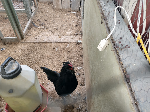 Plant Nursery «Rockin E Country Store», reviews and photos, 1201 W 500 S, Woods Cross, UT 84087, USA