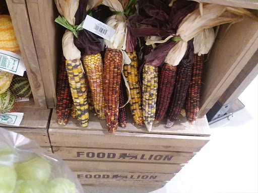 Grocery Store «Food Lion», reviews and photos, 1202 W Broad St, Elizabethtown, NC 28337, USA