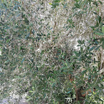 Photo n°1 de l'avis de Andreina.o fait le 19/08/2020 à 13:11 sur le  Ristorante Redaelli Walter à Bettolle