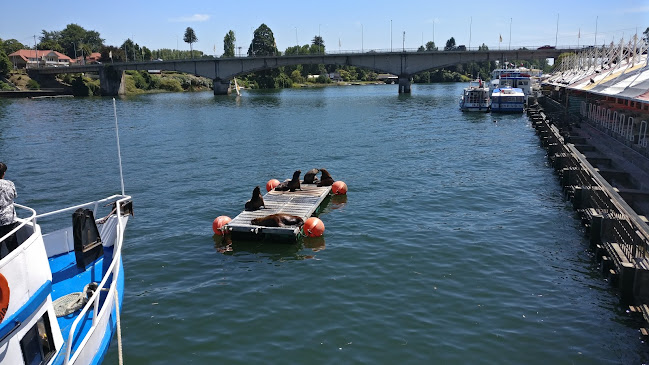 Valdivia Tours ONLINE - Valdivia