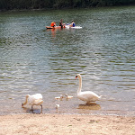 Photo n°3 de l'avis de wasserskischule. fait le 19/02/2022 à 17:27 sur le  Altrheinklause à Waldsee