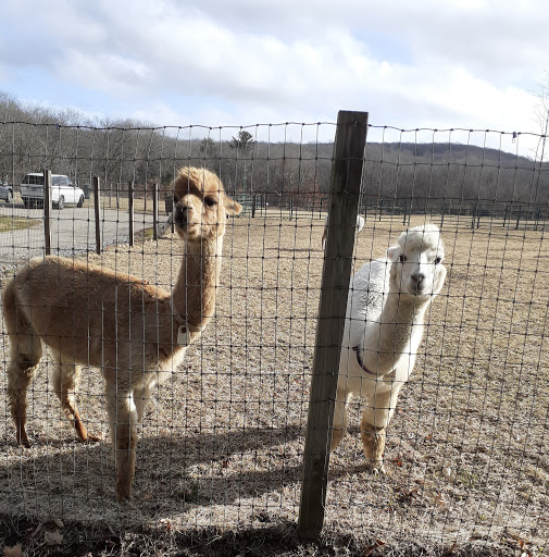 Boutique «Six Paca Farm», reviews and photos, 44 Bozrah St, Bozrah, CT 06334, USA