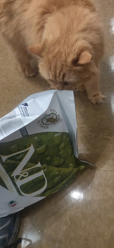 Pet Supply Store «Perk Valley Pet Eatery», reviews and photos, 130 W Main St #102-104, Trappe, PA 19426, USA