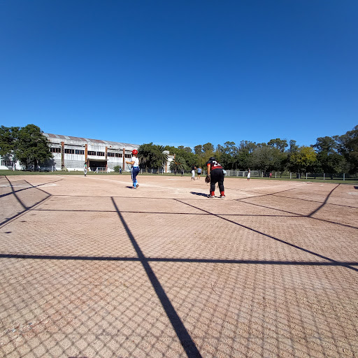Campo de softball Buenos Aires
