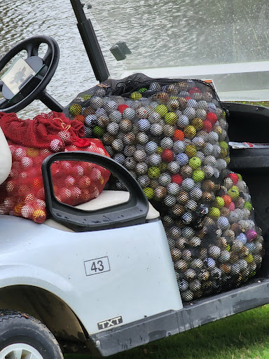 Golf Course «Canongate 1 Golf Club», reviews and photos, 924 Shaw Rd, Sharpsburg, GA 30277, USA