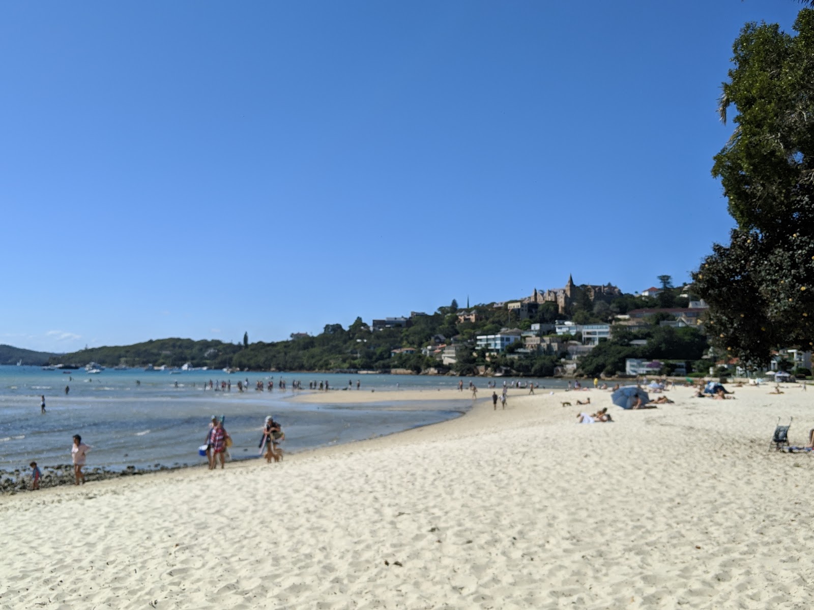 Foto van Rose Bay Beach met fijne beige zand oppervlakte