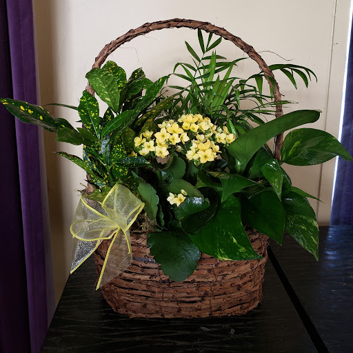 Florist «Bixby Knolls Flowers», reviews and photos, 3901 Long Beach Blvd, Long Beach, CA 90807, USA