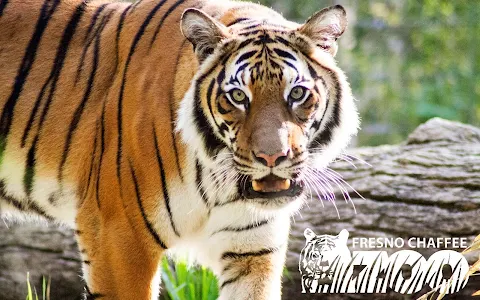 Fresno Chaffee Zoo image