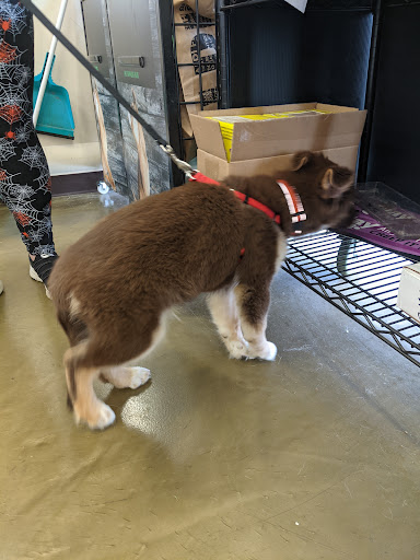 Pet Supply Store «Pet Supplies Plus», reviews and photos, 1155 Washington Pike, Bridgeville, PA 15017, USA