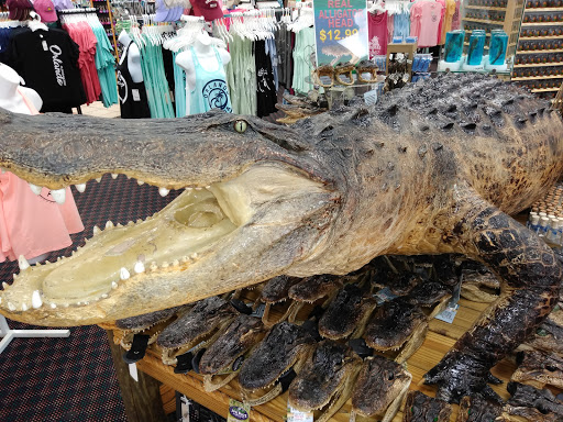 Grocery Store «Goodies Supermarket», reviews and photos, 8550 International Dr, Orlando, FL 32819, USA