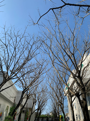 Top 10 cửa hàng đồ gỗ Huyện Đảo Cồn cỏ Quảng Trị 2022