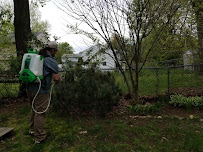 All Green Pest Control, LLC - Photo 4 - Car repair in , Springfield