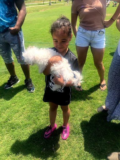 Disc Golf Course «Lovers Lane Disc Golf Course», reviews and photos, 385 Lovers Ln, Bowling Green, KY 42103, USA