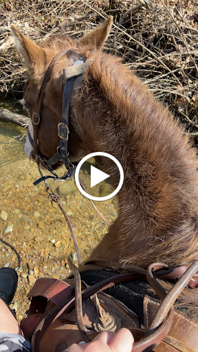 Horseback Riding Service «Grandpa Jeffs Trailrides», reviews and photos, 5889 S Skinner Rd, Morgantown, IN 46160, USA