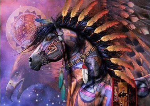 Tex-Mex Restaurant «Tijuana Flats», reviews and photos, 2280 W International Speedway Blvd, Daytona Beach, FL 32114, USA