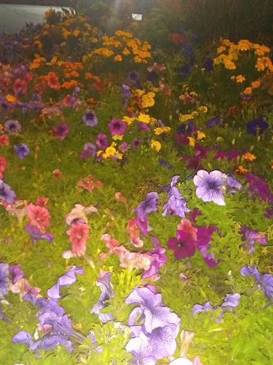 Steak House «Clearwater Saloon & Casino», reviews and photos, 838 Valley Mall Pkwy, East Wenatchee, WA 98802, USA