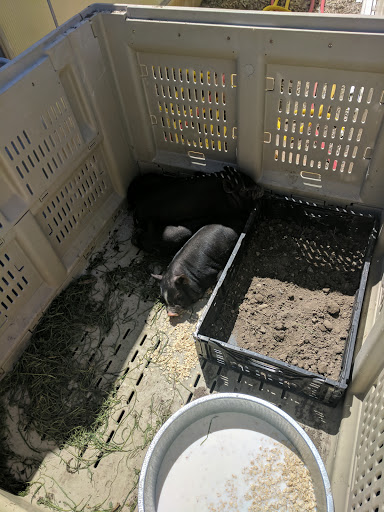 Shopping Mall «Gateway Crossing Shopping Center», reviews and photos, 190 500 W, Bountiful, UT 84010, USA