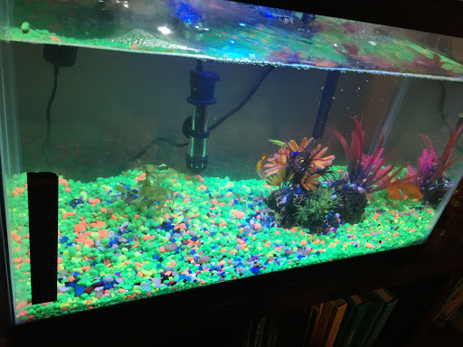 Pet Store «Valley Pets», reviews and photos, 6380 US-85, Fountain, CO 80817, USA