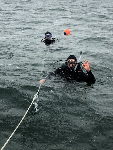 Dive Shop «Orbit Marine Sports Center Inc», reviews and photos, 3273 Fairfield Ave, Bridgeport, CT 06605, USA