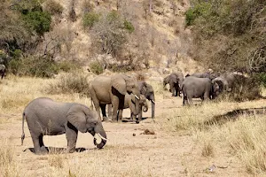 Phalaborwa Gate @ Kruger National Park image