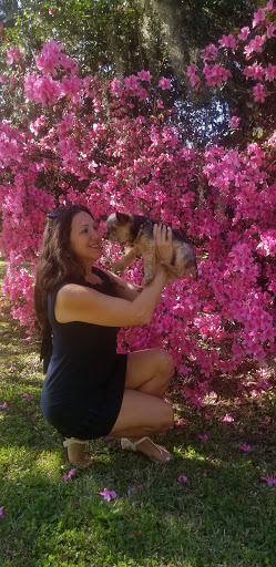 National Park «Charles Pinckney National Historic Site», reviews and photos, 1254 Long Point Rd, Mt Pleasant, SC 29464, USA