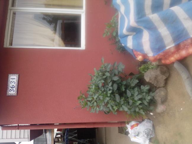 Inmobiliaria Inmo Veintiuno - Temuco