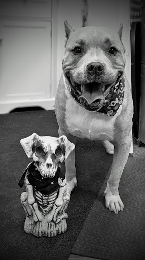 Pet Groomer «A Klassy Lassie, LLC», reviews and photos, 30 Old Jackson Rd, McDonough, GA 30252, USA