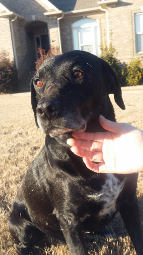 Stewart Animal Clinic: Bonds Tara DVM image